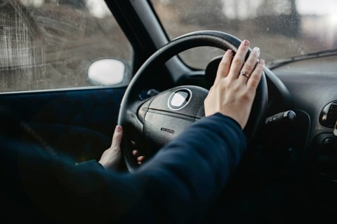 Person places hand on wheel as if to use the horn inside an overcast vehicle