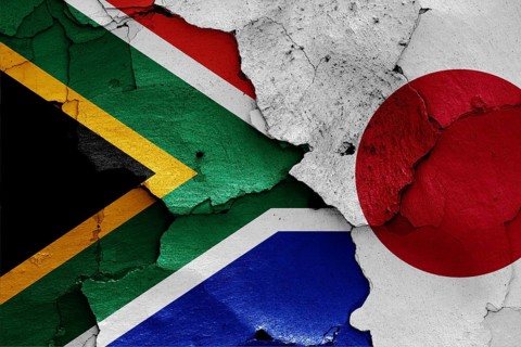 Flags of South Africa and Japan painted on cracked wall
