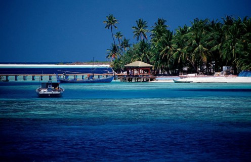 Maldives Island Rhasdoo, Native Island, Maldives, Indian Ocean, Rasdhoo Atoll, Asia
