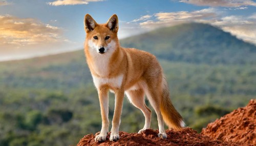 KI generated, animal, animals, mammal, mammals, biotope, habitat, one, single animal, foraging,