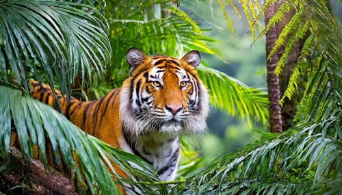 AI generated, animal, animals, mammal, mammals, biotope, habitat, one, individual, foraging,