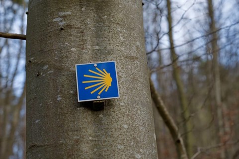Way of St James, hiking, Kochersteig, Geislingen, Braunsbach-Geislingen, Nordic walking, Kocher