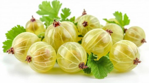 Green gooseberries with leaves, showcasing a fresh and natural appearance, AI generated