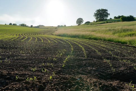 Agriculture area near Ilmried, spring, May, agriculture, field, farming, acre, Pfaffenhofen an der