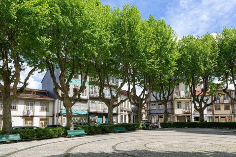 Trees around city park Jardim do Largo Condessa do Juncal, city centre of Guimaraes, northern