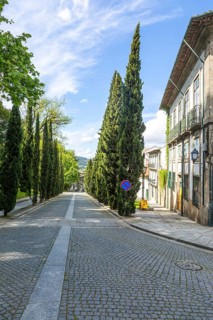 Historic buildings cypress trees street, Largo Martins Sarmento, city of Guimaraes, northern