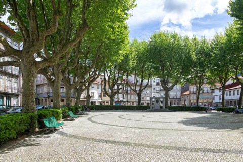 Trees around city park Jardim do Largo Condessa do Juncal, city centre of Guimaraes, northern