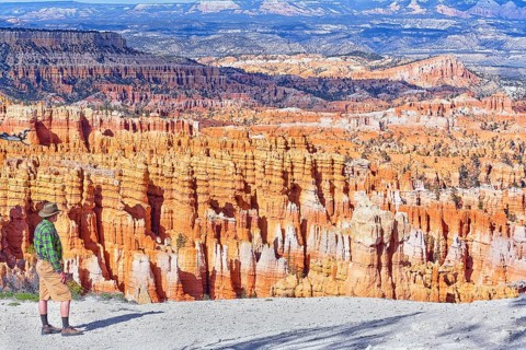 Man contemplating landscape, Bryce Canyon, Bryce Canyon National Park, Utah, USA, North America