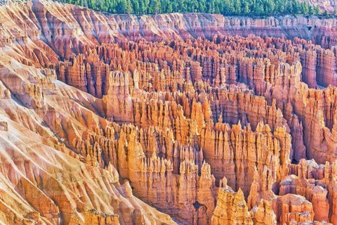 Bryce Canyon, Bryce Canyon National Park, Utah, USA, North America