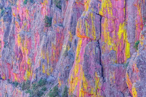Multicoloured canyon wall, Coconino National Forest, Arizona, USA, North America