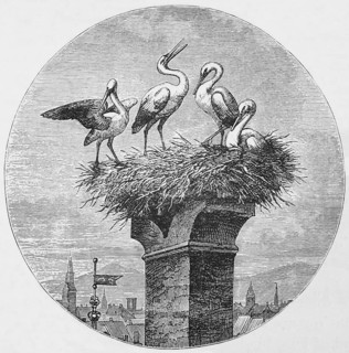 Nesting storks, around 1870, Netherlands, digital reproduction of a historical model