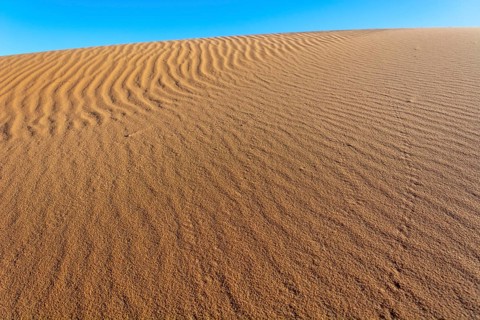A sandy desert with a blue sky in the background. The sand is ribbed and has a slight slope.