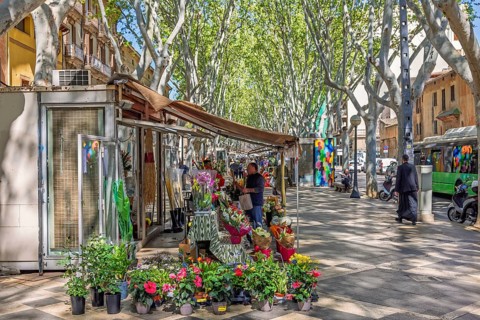 La Rambla a famous avenue with walking people among the flower shops in the city of Palma, Palma de