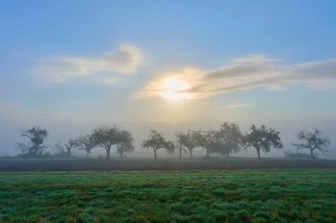 Foggy landscape with sunrise and Mönchberg, Miltenberg, Spessart, Bavaria, Germany, Europe