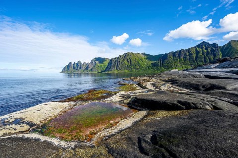 Green algae in a tidal pool, rocky coast of Tungeneset, Devil's Teeth, Okshornan, Ersfjorden, Senja
