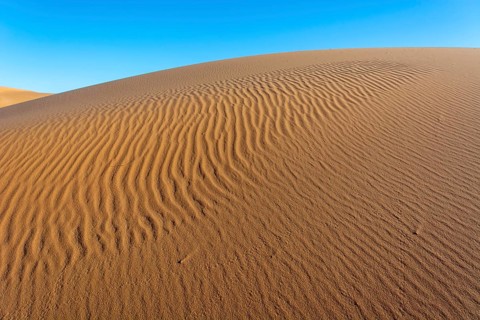 A sandy desert with a blue sky in the background. The sand is ribbed and has a slight slope.