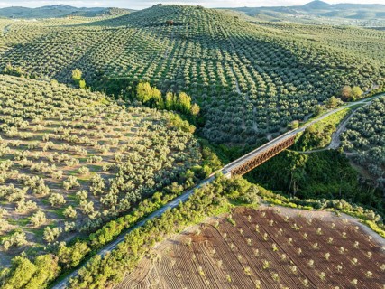 Cycle path Via Verde Del Aceite, old railroad track passes through olive fields, cycle path on
