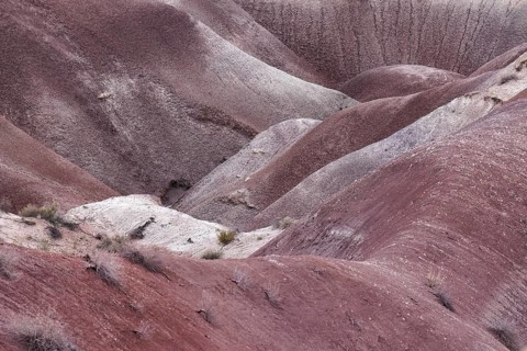 Colorful deposits of the Chinle Formation exposed at Little Painted Desert County Park near