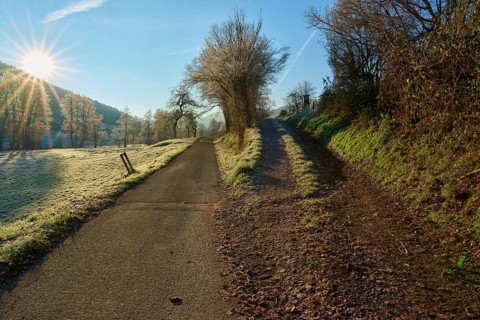 Fork in the road Forked path in the frosty morning light along a row of trees, Kirchzell, Amorbach,
