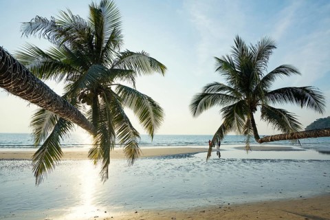 Sandy beach beach with coconut palms, Khlong Chao Beach, sunset, Koh Kood, Koh Kut, Gulf of