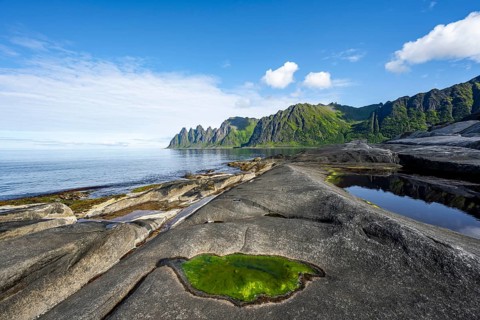 Green algae in a tidal pool, rocky coast of Tungeneset, Devil's Teeth, Okshornan, Ersfjorden, Senja
