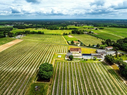 Vineyards and grape fields around Bordeaux from a drone, Saint-Mariens, Gironde,