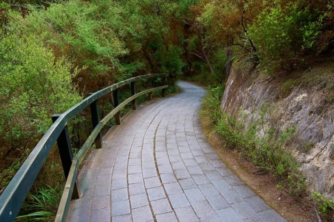 Curved stone path with railings through a green forest landscape, Wai-O-Tapu Thermal Wonderland,