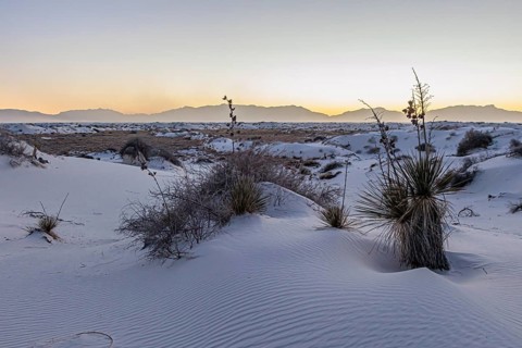 Gypsum dunefields at White Sands National Monument located within the Chihuahuan Desert and the