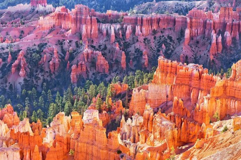 Bryce Canyon, Bryce Canyon National Park, Utah, USA, North America
