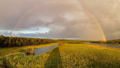 Complete and partial double rainbow in the Ainringer and Peracher moss nature reserve, Bavaria,