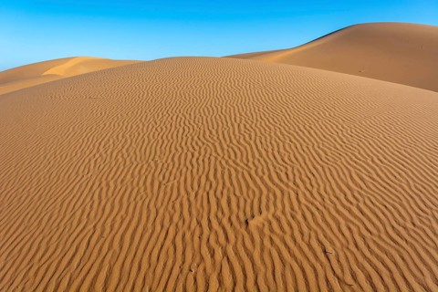 A sandy desert with a blue sky in the background. The sand is ribbed and has a slight slope.