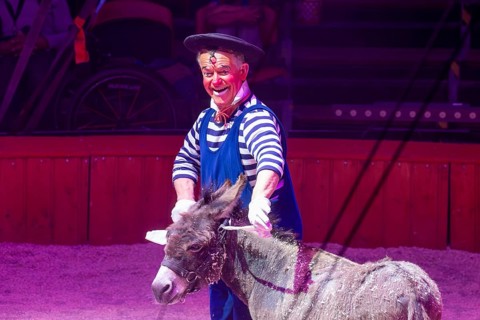 Performance by Circus Barelli in Mannheim***Picture: Pieric, the clown from France