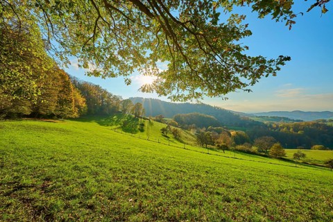 An idyllic landscape with green meadows, trees and hills, illuminated by the sun, Vöckelsbach,
