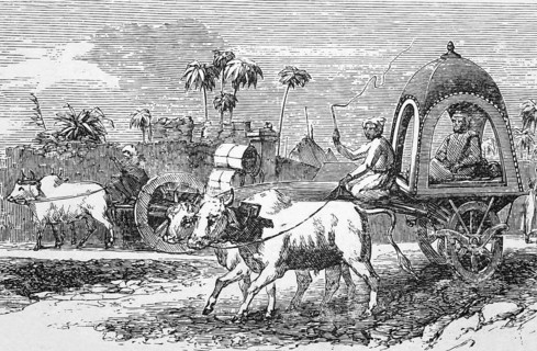 Cart drawn by oxen, Bombay, Mumbai, around 1870, India, digital reproduction of a historical model,