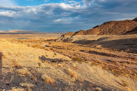 Echo wash drains into the Overton Arm of Lake Mead at Echo Bay, Nevada, USA, North America