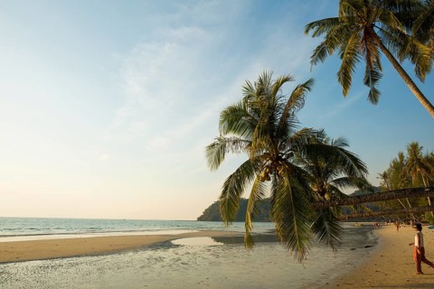 Sandy beach beach with coconut palms, Khlong Chao Beach, sunset, Koh Kood, Koh Kut, Gulf of