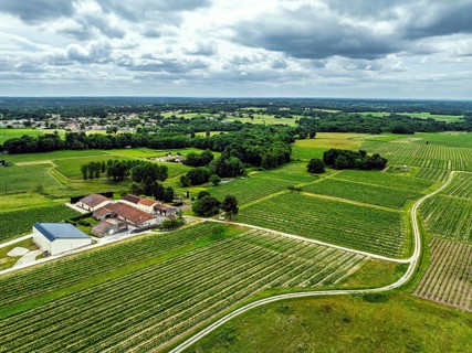 Vineyards and grape fields around Bordeaux from a drone, Saint-Mariens, Gironde,