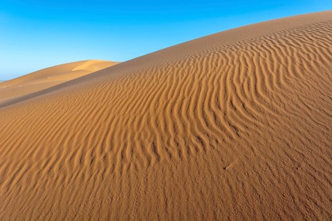 A sandy desert with a blue sky in the background. The sand is ribbed and has a slight slope.