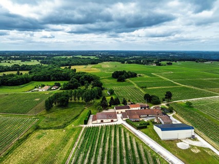 Vineyards and grape fields around Bordeaux from a drone, Saint-Mariens, Gironde,