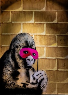 Banksy - Gorilla in a Pink Mask, mixture of carnival and confrontation, 2011, Eastville, Bristol,