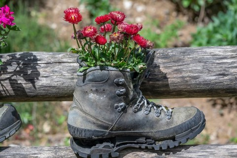 Flowers in a worn mountain shoe, Bavaria, Germany, Europe