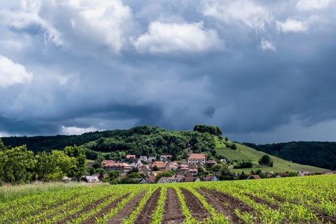 Dark clouds in the sky, Castell, Steigerwald nature park Park, Lower Franconia, Franconia, Germany,