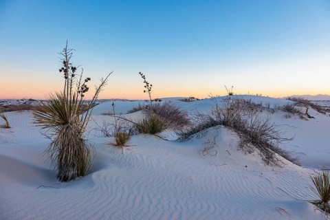 Gypsum dunefields at White Sands National Monument located within the Chihuahuan Desert and the