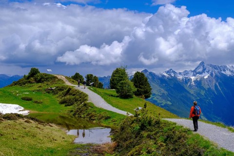 Hiker on the panorama trail, Penken, Finkenberg, Mayrhofen, Zillertal, Tyrol, Austria, Europe