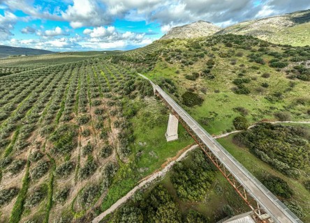 Cycle path Via Verde Del Aceite, old railroad track passes through olive fields, cycle path on