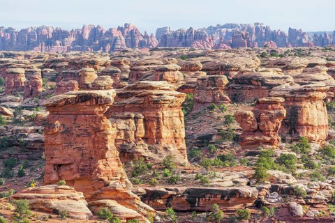Rock formations, Chesler Park, The Needles district, Canyonlands National Park, Utah, USA, North