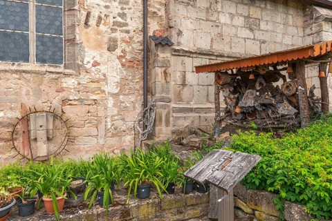 Church and bible garden of St Crucis Church, Bad Sooden, Allendorf, Allendorf district, art, potted