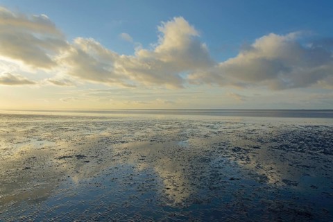North Sea, Wadden Sea at low tide, blue sky with low clouds (cumulus), Norddeich, Lower Saxony,