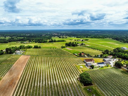 Vineyards and grape fields around Bordeaux from a drone, Saint-Mariens, Gironde,