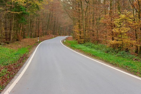 Asphalt road winds through autumn-coloured forest, Buchen, Odenwald, Neckar-Odenwald district,